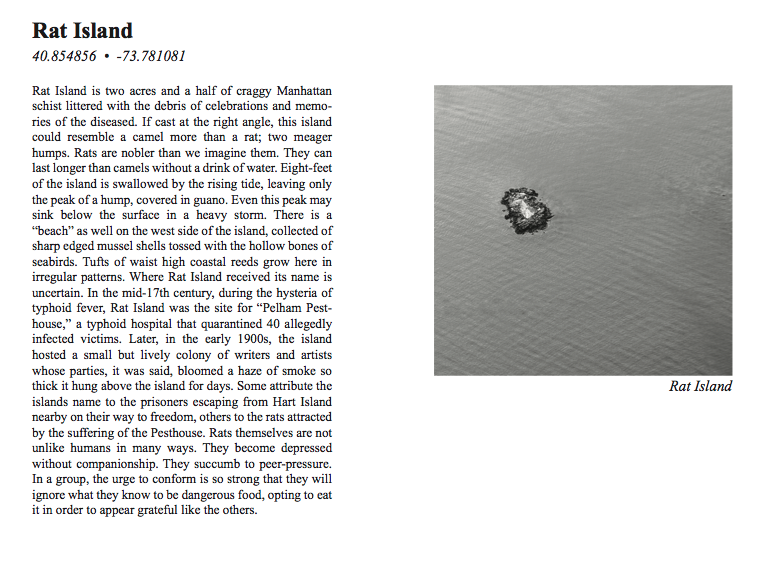 Pamphlet2