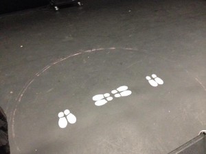 Img 9862