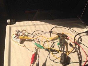 FLORA circuit with sensors